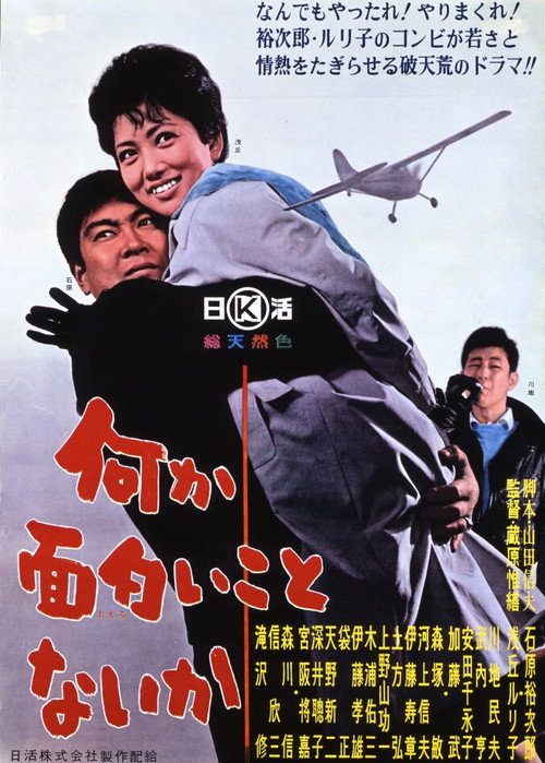 Movie poster for I Fly for Kicks (1963)