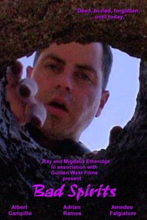 Movie poster for Bad Spirits (2007)