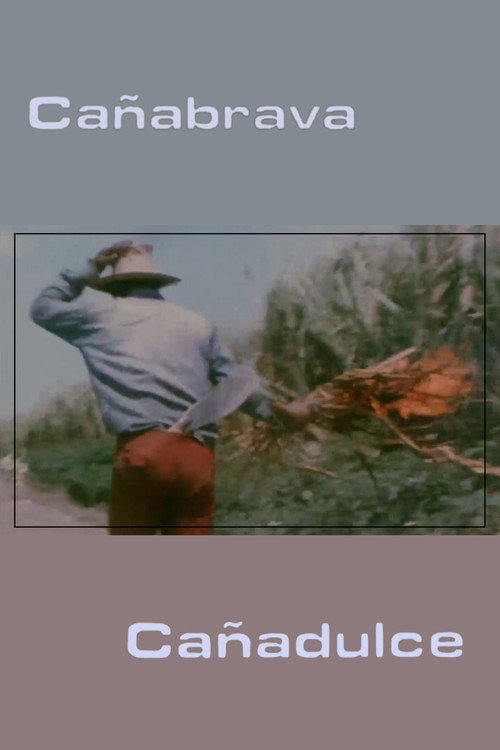 Movie poster for Cañabrava Cañadulce (1980)