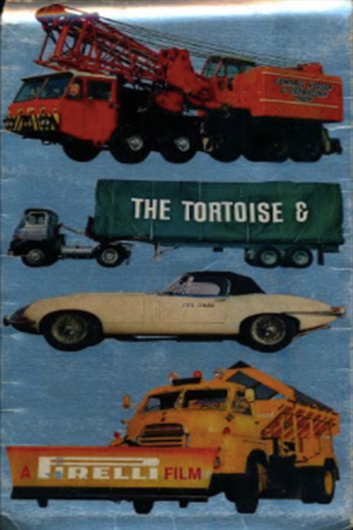 Movie poster for The Tortoise and the Hare (1966)