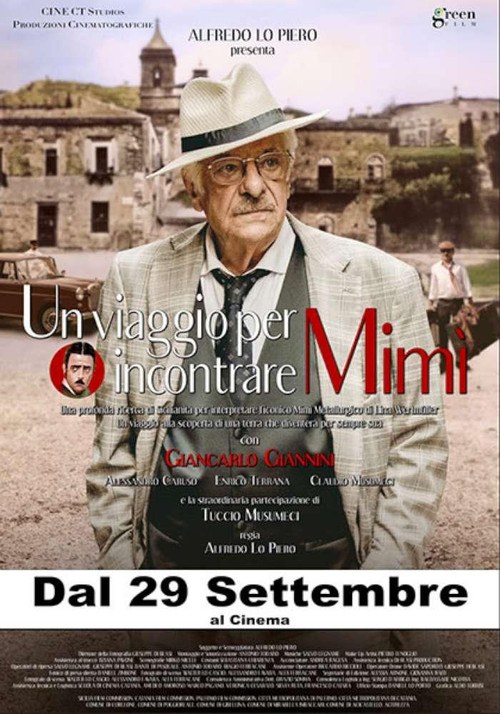 Un viaggio per incontrare Mimì poster