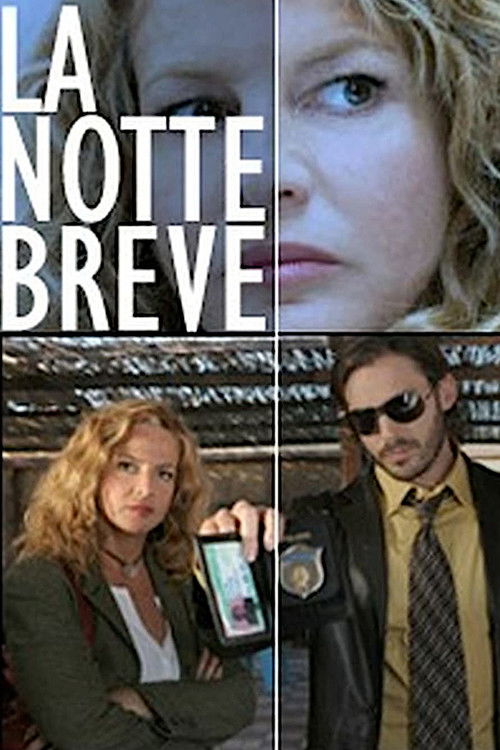 Movie poster for The Short Night (2006)