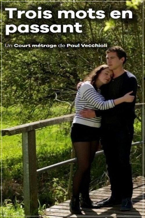 Movie poster for Trois mots en passant (2015)