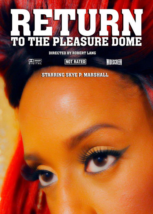 Movie poster for Return to the Pleasure Dome (2017)