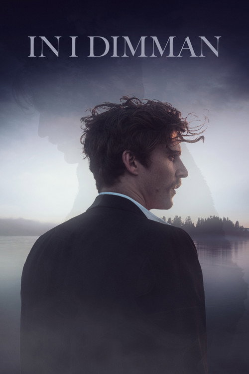 Movie poster for In i dimman (2018)