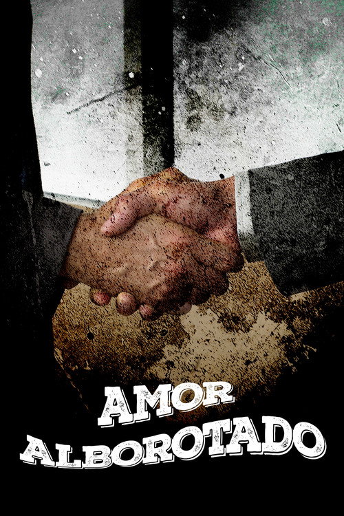 Movie poster for Amor alborotado (2012)