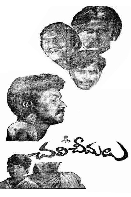 Movie poster for Chali Cheemalu (1978)