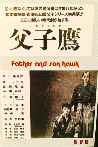 Father and Son Hawk poster