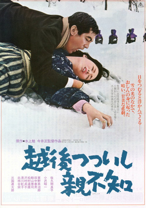 Movie poster for A Story from Echigo (1964)