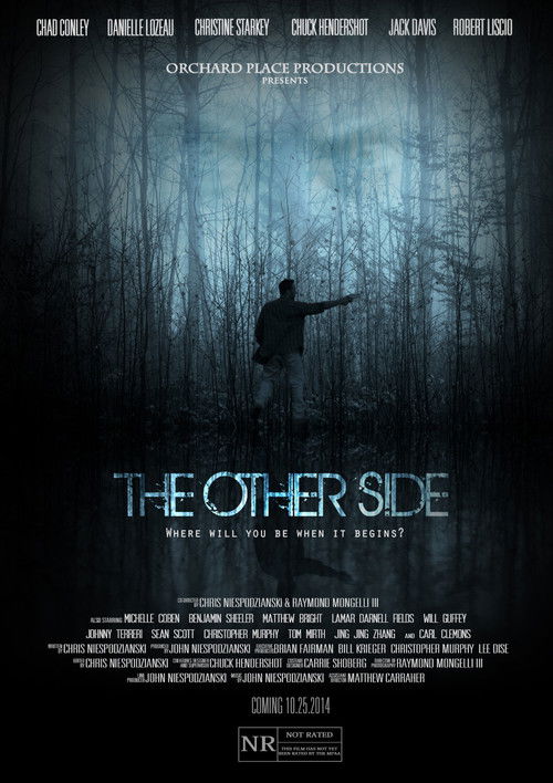 Movie poster for The Other Side (2014)