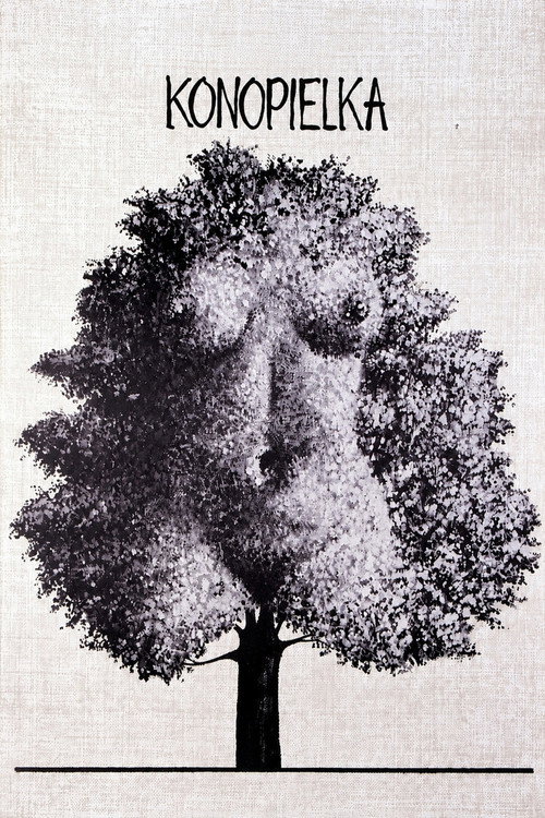 Movie poster for The Linnet (1982)
