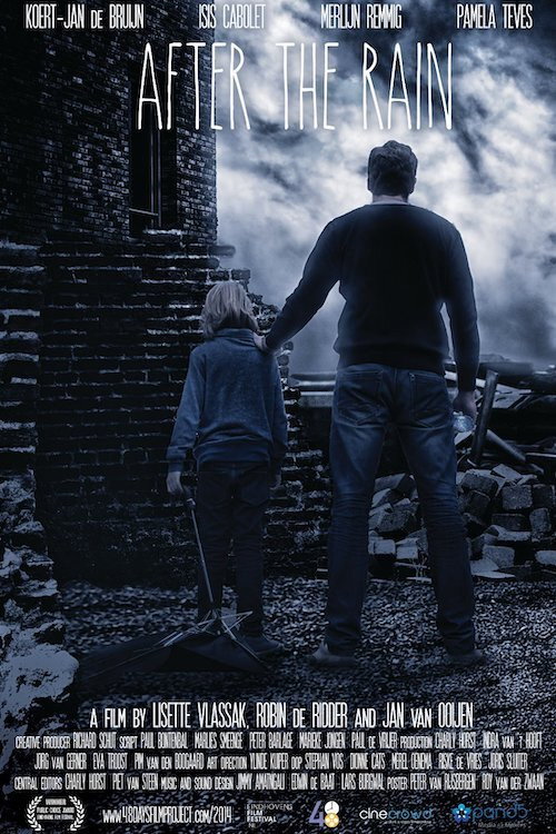 Movie poster for After the Rain (2014)