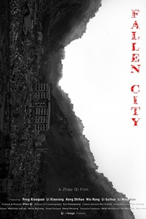 Movie poster for Fallen City (2013)