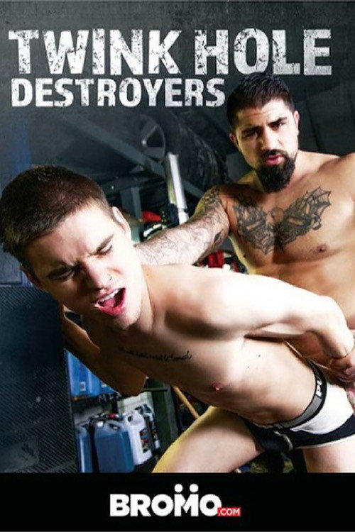Movie poster for Twink Hole Destroyers (2021)