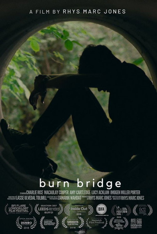 Movie poster for Burn Bridge (2017)