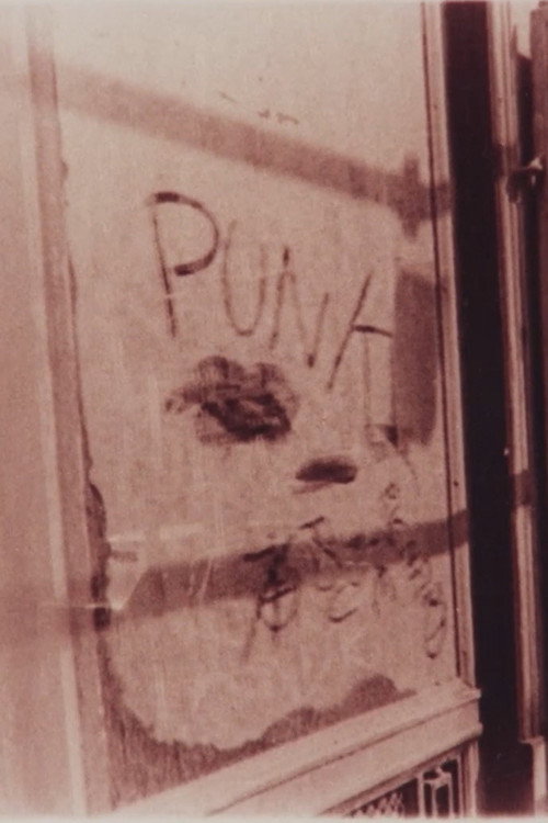 Movie poster for PUNK (1978)