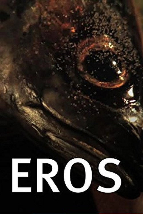 Movie poster for Eros (2008)