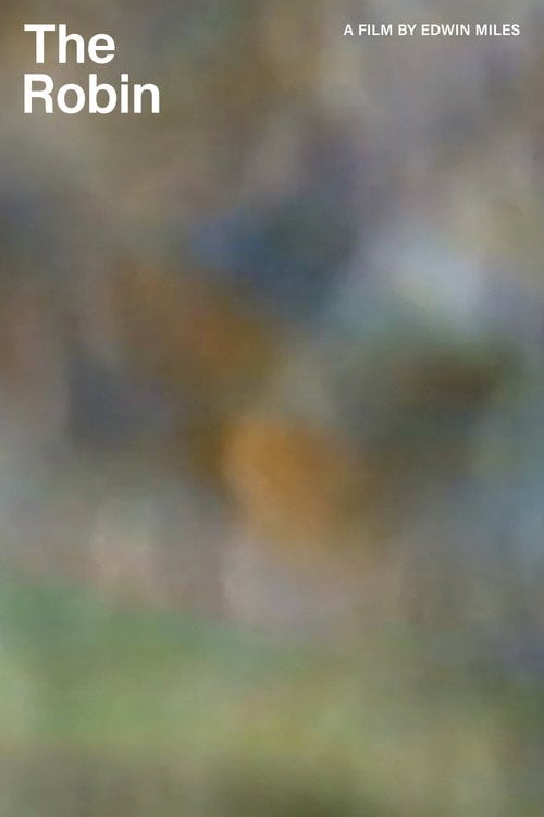 Movie poster for The Robin (2024)