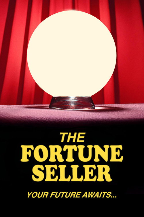 Movie poster for The Fortune Seller (2024)