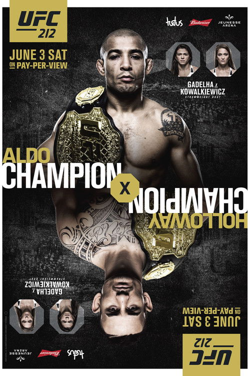 Movie poster for UFC 212: Aldo vs. Holloway (2017)
