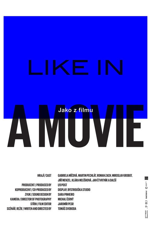 Movie poster for Like in a Movie (2016)