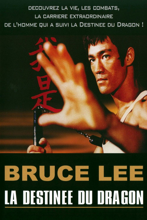 Movie poster for Bruce Lee - La Destinée du Dragon (2004)