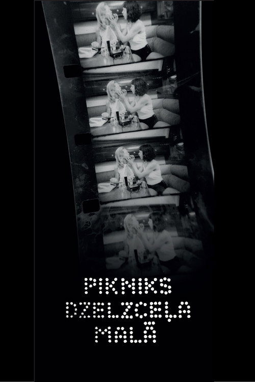 Movie poster for A Picnic by the Railway (2020)
