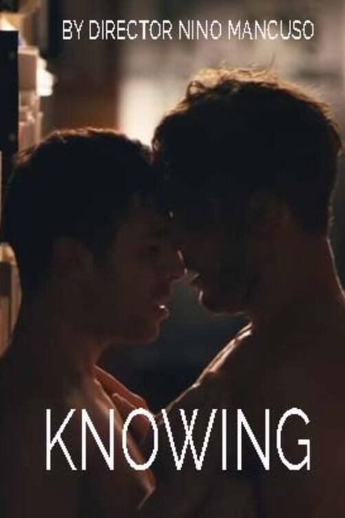 Movie poster for Knowing (2013)