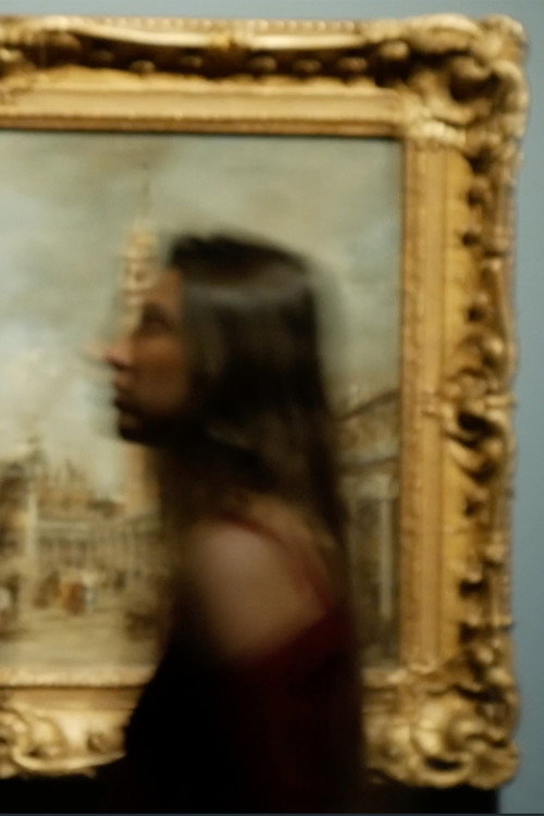 Movie poster for Directing a visit