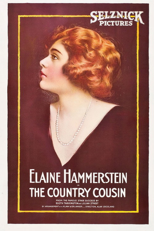 Movie poster for The Country Cousin (1919)