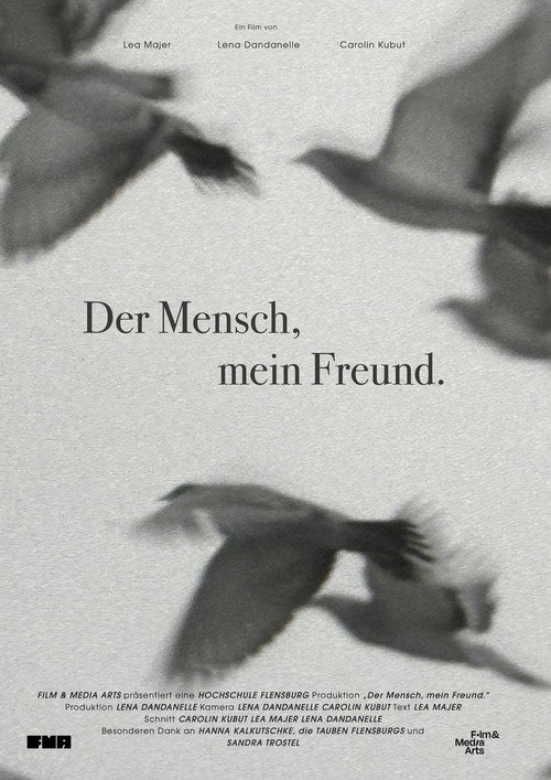 Movie poster for We Used to Be Friends. (2024)