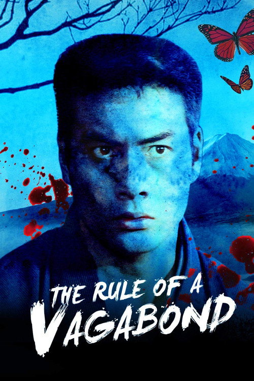 Movie poster for The Rule for a Vagabond (1965)