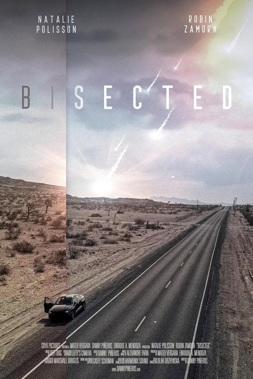 Movie poster for Bisected (2023)