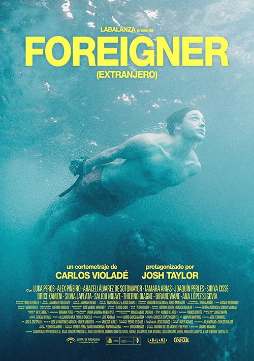 Movie poster for Foreigner (2018)
