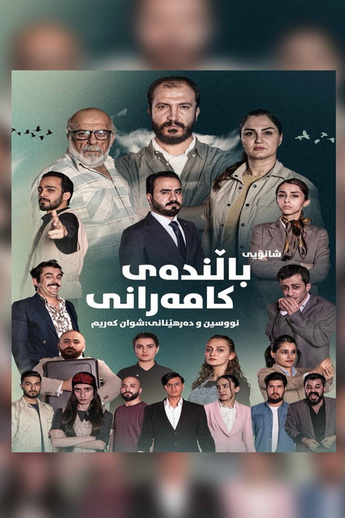 Movie poster for Bird of happiness