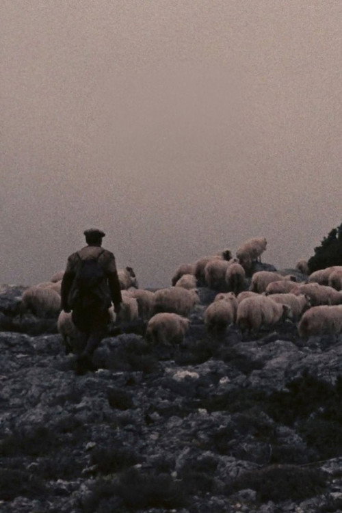 Movie poster for Orgosolo’s Shepherds (1958)