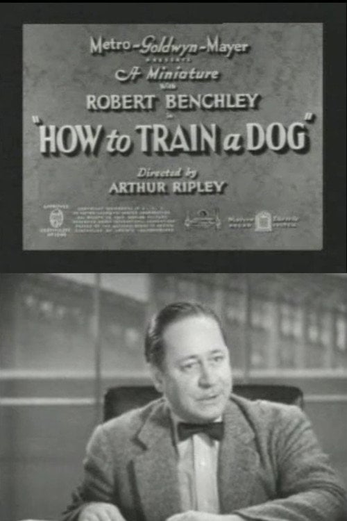 Movie poster for How to Train a Dog (1936)
