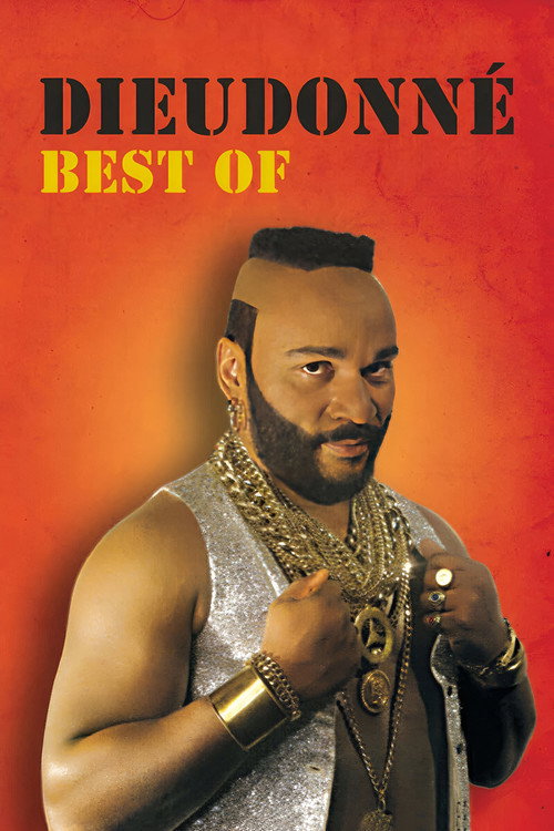 Movie poster for Dieudonné - Best Of (2007)
