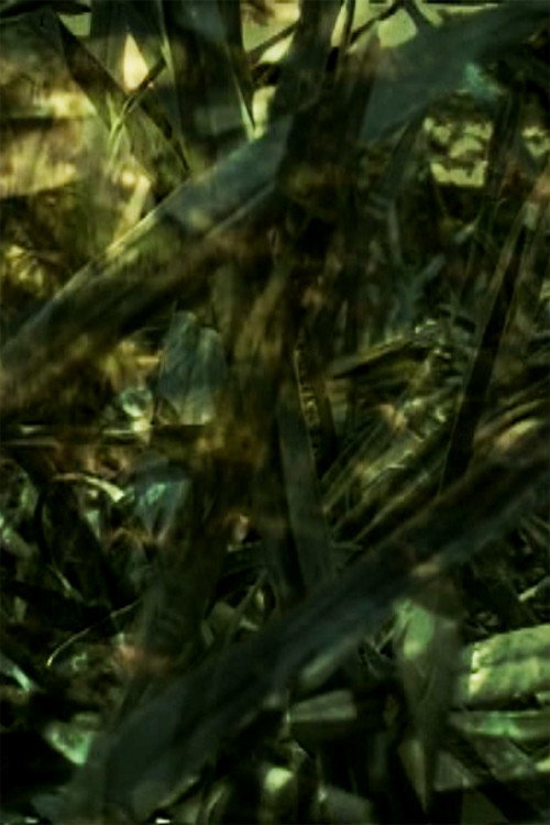 Movie poster for Reprieve (2007)