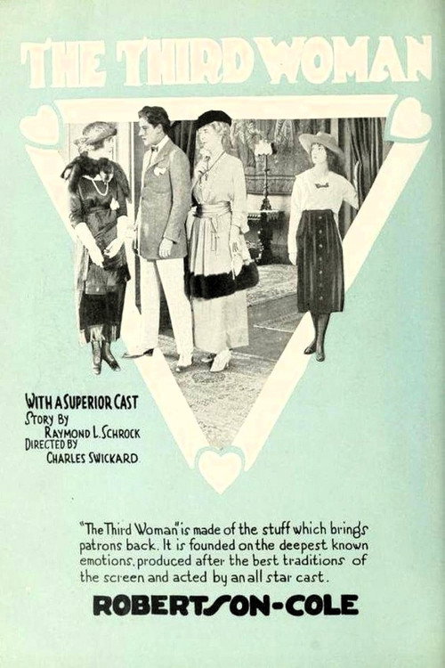 Movie poster for The Third Woman (1920)