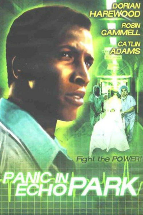 Movie poster for Panic in Echo Park (1977)