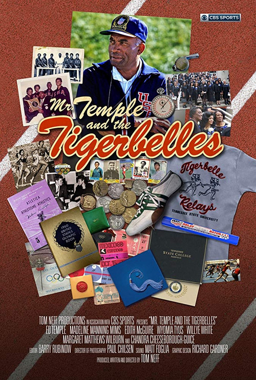 Movie poster for Mr. Temple and the Tigerbelles (2018)