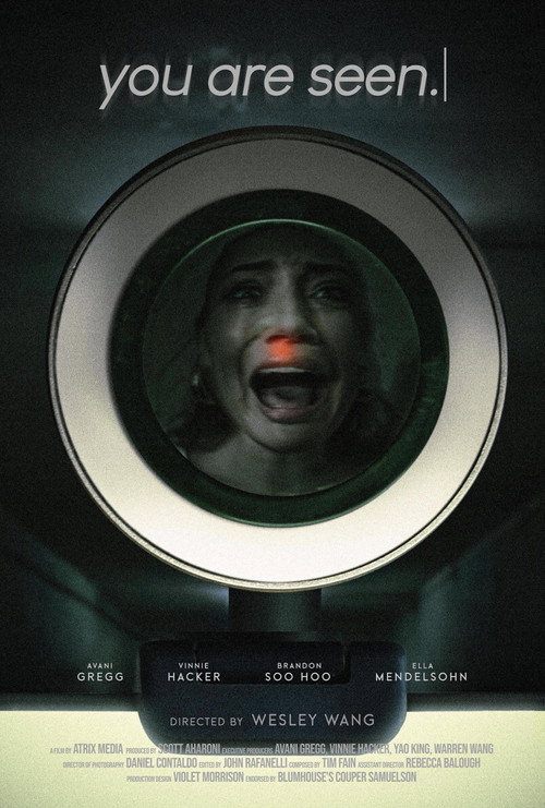 Movie poster for you are seen. (2024)