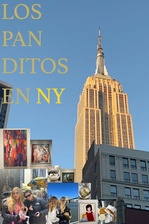 Movie poster for The "Panditos" in New York (2024)