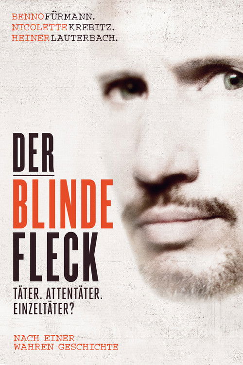 Movie poster for The Blind Spot (2013)