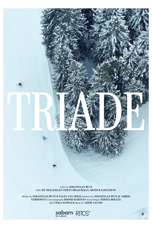 Movie poster for Triade (2024)