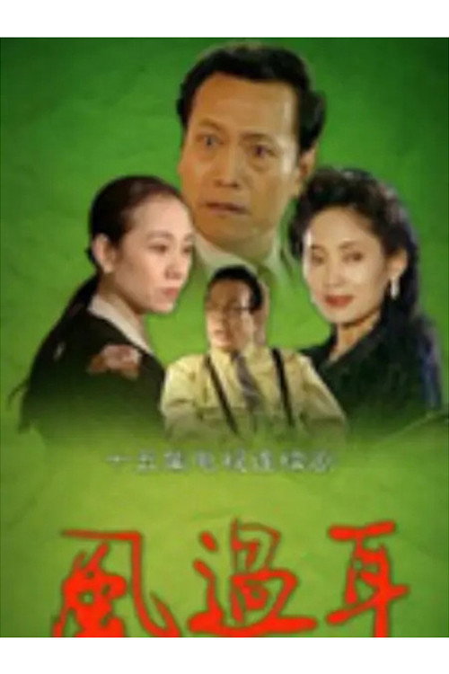Series poster for 风过耳 (1994)