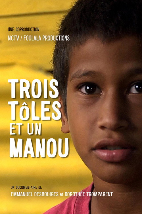 Movie poster for Trois Tôles et un Manou (2016)