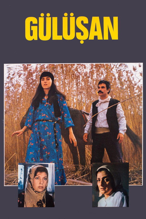 Movie poster for Gülüşan (1985)