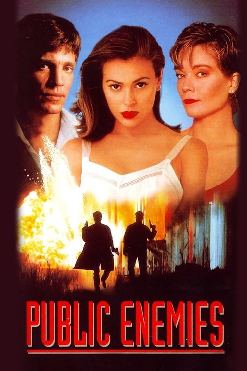 Movie poster for Public Enemies (1996)
